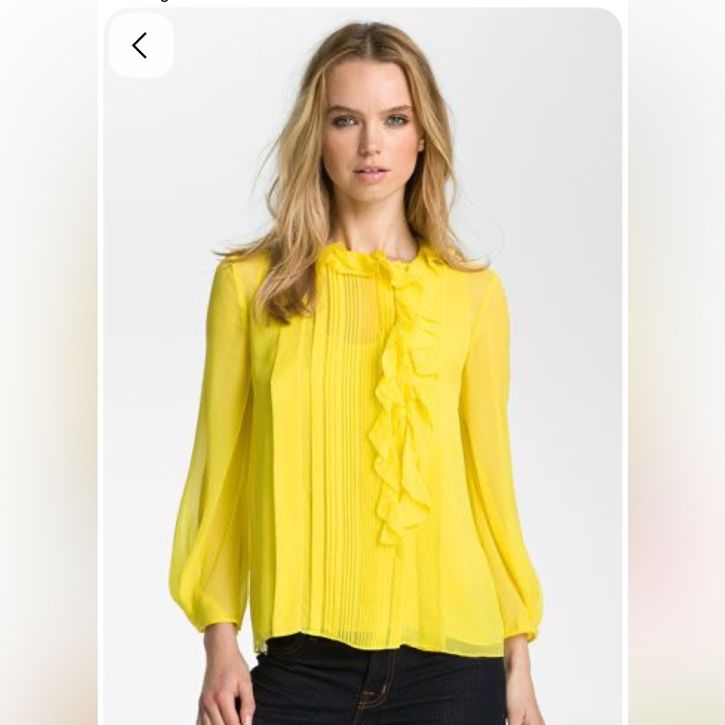 Diane Von Furstenberg Silk Chiffon Kelly Blouse Top Round Neck Ruffles Nwot 8